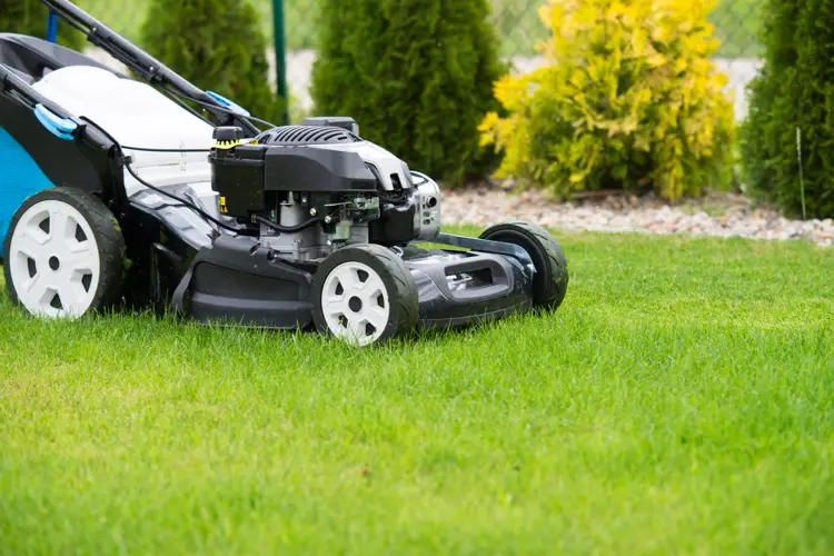 Lawn Mowers Guide